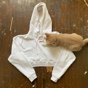 Levi’s Cropped Hoodie (Kitten not included)